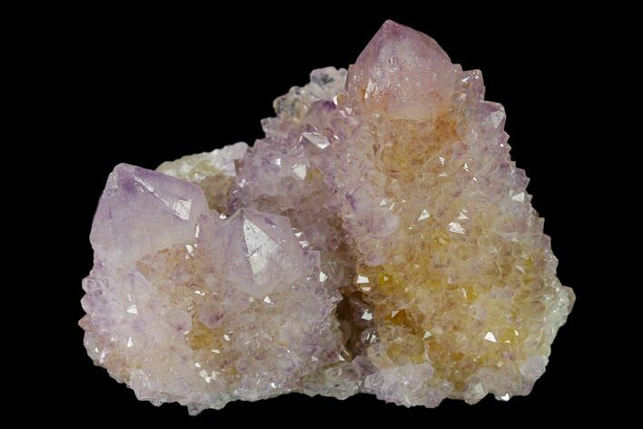 Cactus Quartz (Amethyst) Crystal Cluster - South Africa #137787